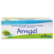 Arnigel Boiron 120gr