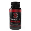 Fharmonat Tribulus Strong  - 48 cápsulas