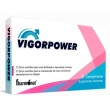 Fharmonat Vigorpower  6 comprimidos+8