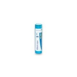 ALLIUM CEPA GRANULO 9CH BOIRON
