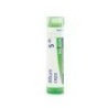 ALLIUM CEPA GRANULO 5CH BOIRON