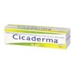 Cicaderma Pomada Boiron 30gr