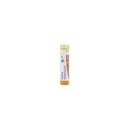 PULMON HISTAMINUM GRANULO 15CH BOIRON