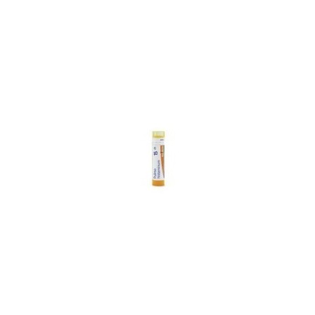 PULMON HISTAMINUM GRANULO 15CH BOIRON