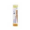 PULMON HISTAMINUM GRANULO 15CH BOIRON