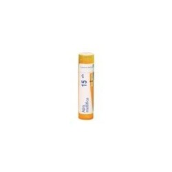 APIS MELLIFICA GRANULO 15CH BOIRON