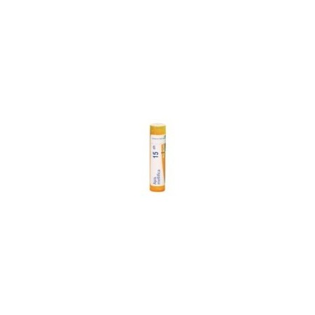 APIS MELLIFICA GRANULO 15CH BOIRON