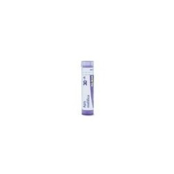 APIS MELLIFICA GRANULO 30CH BOIRON
