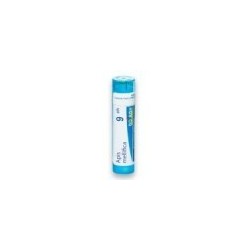 APIS MELLIFICA GRANULO 9CH BOIRON