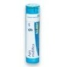 APIS MELLIFICA GRANULO 9CH BOIRON