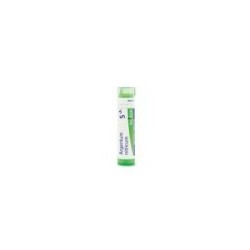 ARGENTUM NITRICUM GRANULO 5CH BOIRON