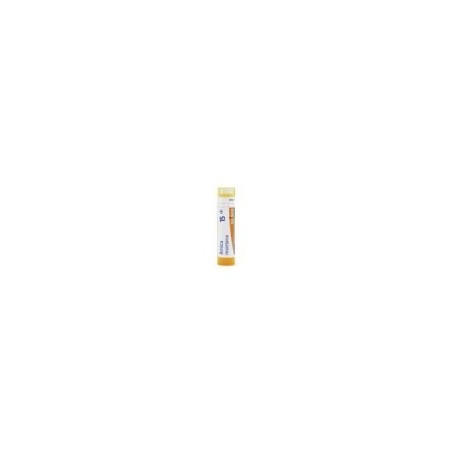 ARNICA MONTANA GRANULO 15CH BOIRON