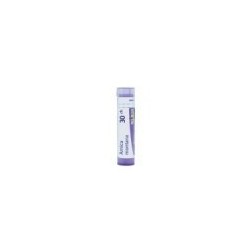 ARNICA MONTANA GRANULO 30CH BOIRON