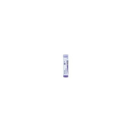 ARNICA MONTANA GRANULO 30CH BOIRON