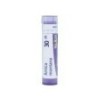 ARNICA MONTANA GRANULO 30CH BOIRON