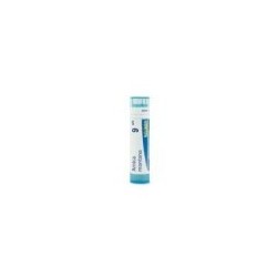 ARNICA MONTANA GRANULO 9CH BOIRON
