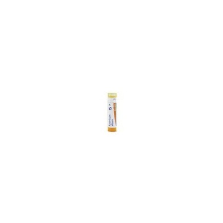 ARSENICUM ALBUM GRANULO 15CH BOIRON