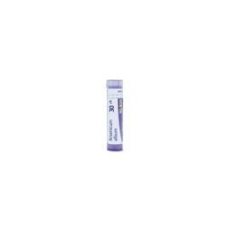 ARSENICUM ALBUM GRANULO 30CH BOIRON