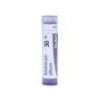 ARSENICUM ALBUM GRANULO 30CH BOIRON