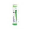 ARSENICUM ALBUM GRANULO 5CH BOIRON