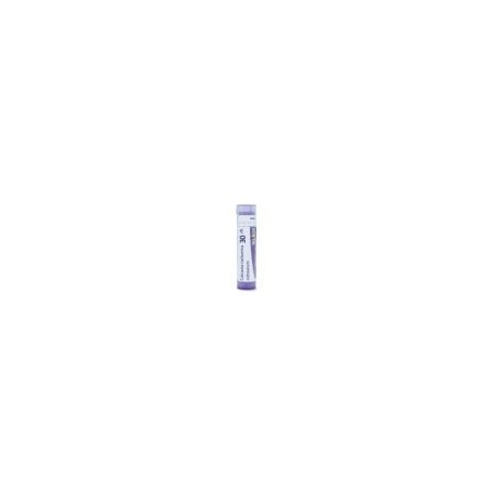 CALCAREA CARBONIC GRANULO 30CH BOIRON