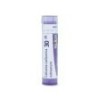 CALCAREA CARBONIC GRANULO 30CH BOIRON