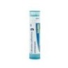 CALCAREA CARBONIC GRANULO 9CH BOIRON