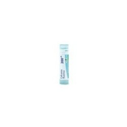 CALCAREA FLUORICA GRANULO 200CH BOIRON