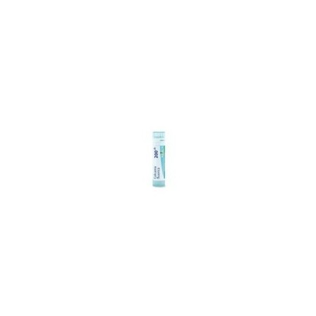 CALCAREA FLUORICA GRANULO 200CH BOIRON