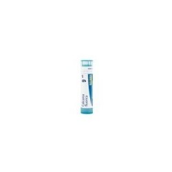 CALCAREA FLUORICA GRANULO 9CH BOIRON