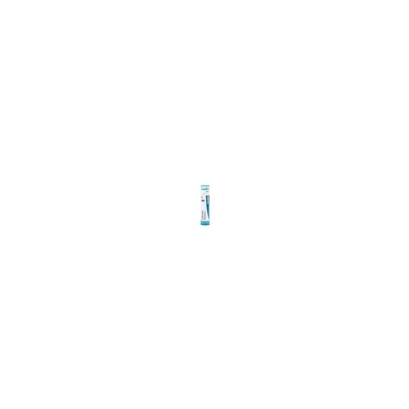 CALCAREA FLUORICA GRANULO 9CH BOIRON