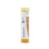 CAUSTICUM GRANULO 15CH BOIRON