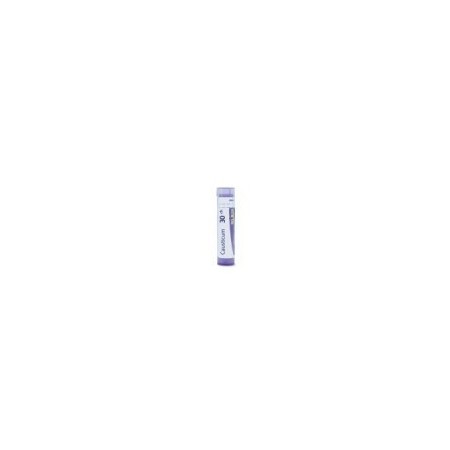CAUSTICUM GRANULO 30CH BOIRON