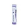 CAUSTICUM GRANULO 30CH BOIRON