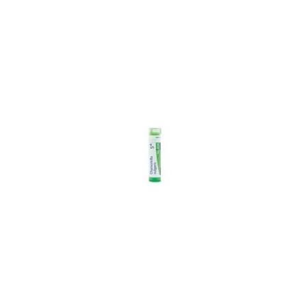 CHAMOMILLA VULGAR GRANULO 5CH BOIRON