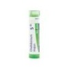 CHELIDONIUM MAJUS GRANULO 5CH BOIRON