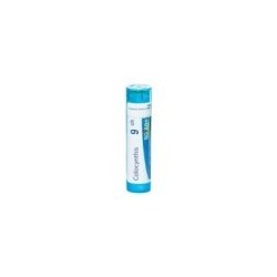 COLOCYNTHIS GRANULO 9CH BOIRON