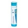 COLOCYNTHIS GRANULO 9CH BOIRON