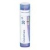 DULCAMARA GRANULO 30CH BOIRON