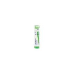 EQUISETUM HIEMALE GRANULO 5CH BOIRON