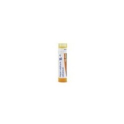 HEPAR SULFURIS CALCAREUM GRANULO 15CH BOIRON