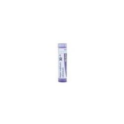 HEPAR SULPHURIS CALCAREUM 30CH GRANULOS BOIRON