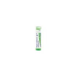 HEPAR SULPHURIS CALCAREUM 5CH GRANULOS BOIRON