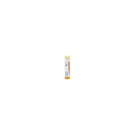 IGNATIA AMARA GRANULO 15CH BOIRON