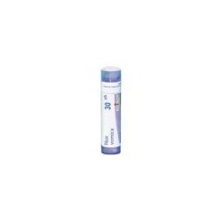 NUX VOMICA GRANULO 30CH BOIRON
