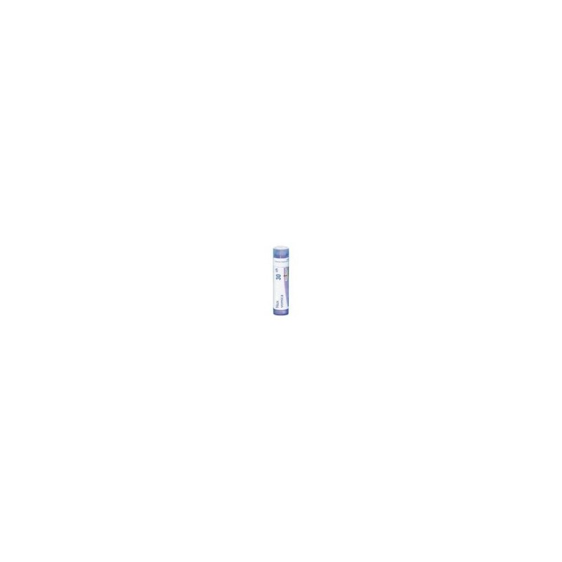 NUX VOMICA GRANULO 30CH BOIRON