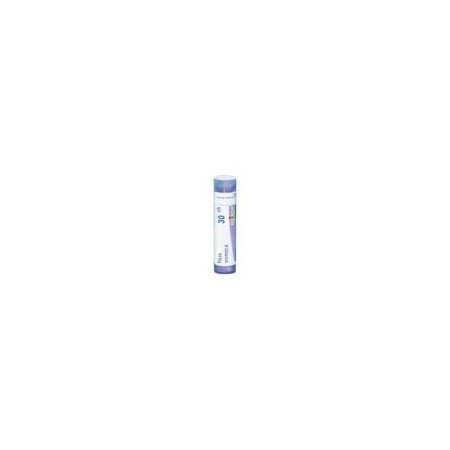 NUX VOMICA GRANULO 30CH BOIRON