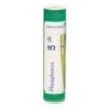 PHOSPHORUS GRANULO 5CH BOIRON