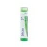 SILICEA GRANULO 5CH BOIRON