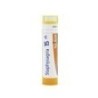 STAPHYSAGRIA GRANULO 15CH BOIRON